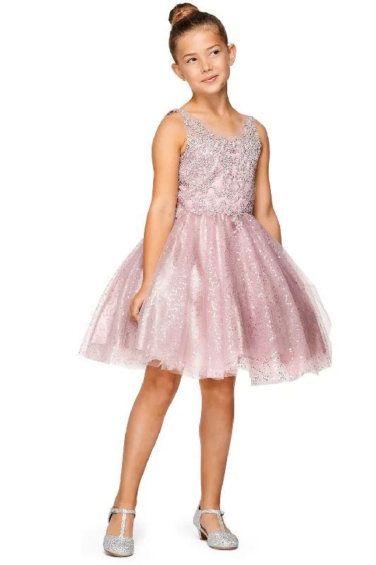 Girls Short Embroidered V-Neck Dress by Cinderella Couture 5088