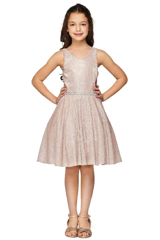 Girls Short Metallic V-Neck Dress by Cinderella Couture 8013